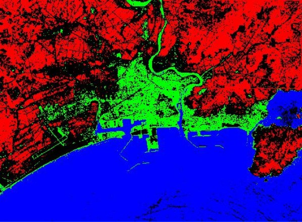 Japan: Before and After Tsunami Maps | Brain Contour