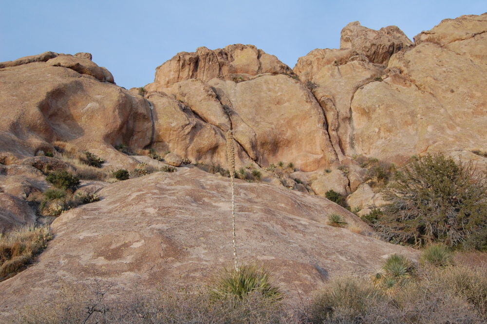 Guide To Visiting The Dripping Springs Natural Area in Las Cruces, New