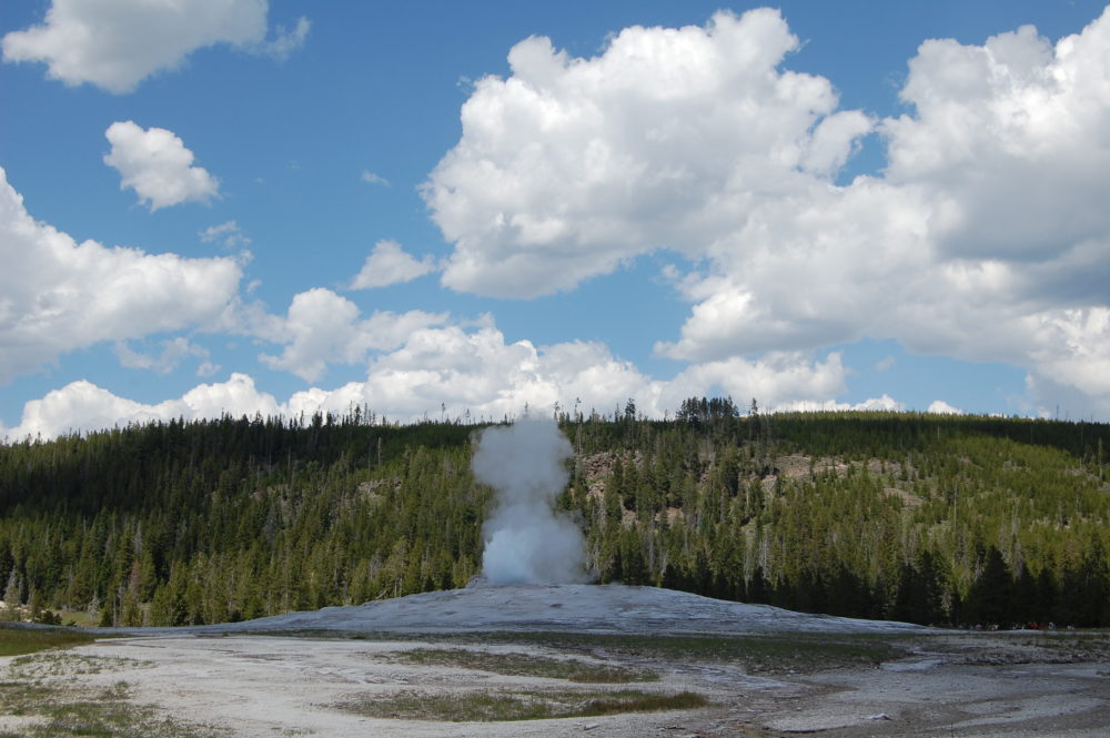 Old Faithful Eruption