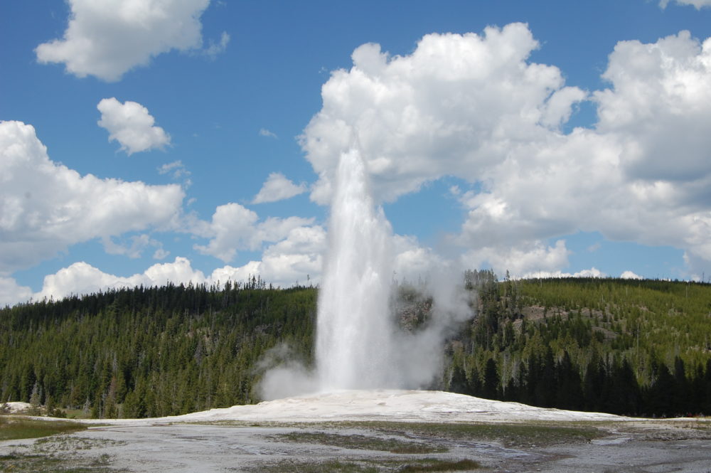 Old Faithful Eruption