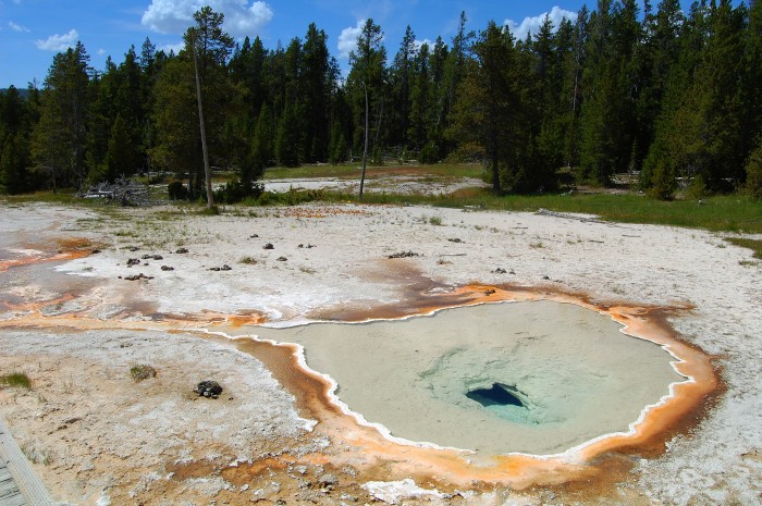 Geyser Basin