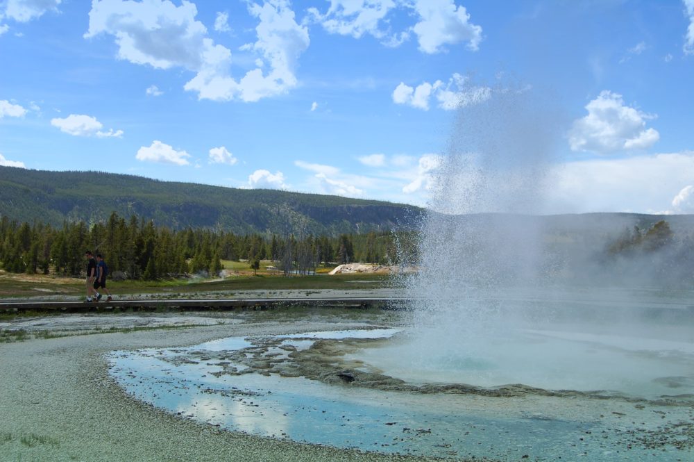 Yellowstone Geyser
