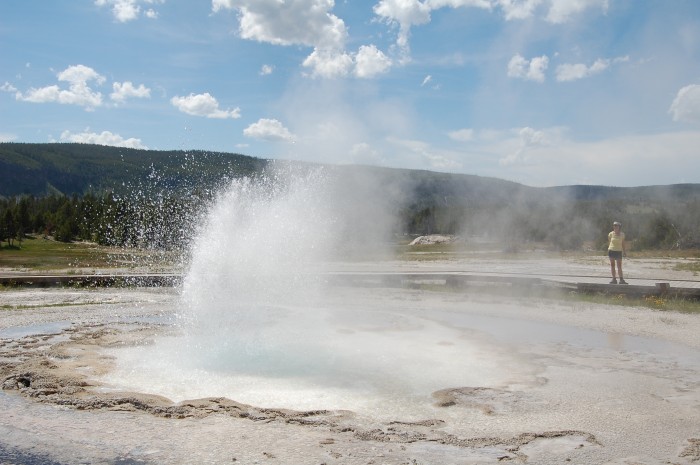 Yellowstone Geyser
