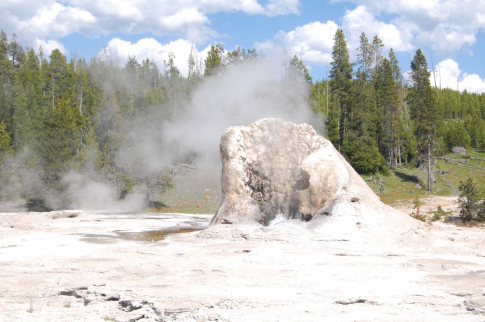 Yellowstone Geyser