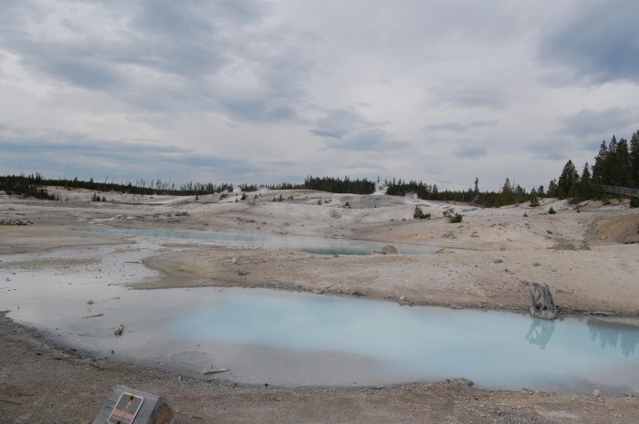 Norris Geyser Basin