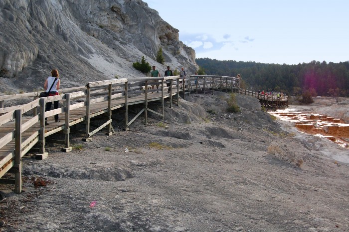Mammoth Hot Springs