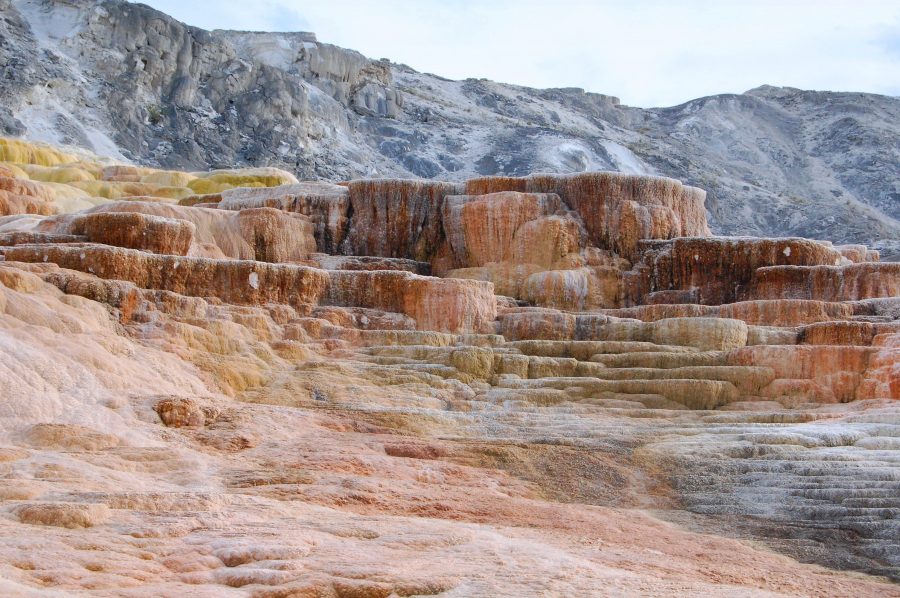 Mammoth Hot Springs