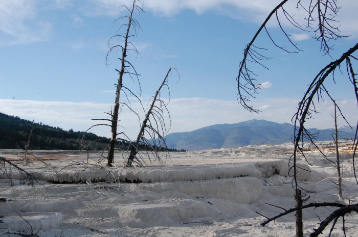Mammoth Hot Springs