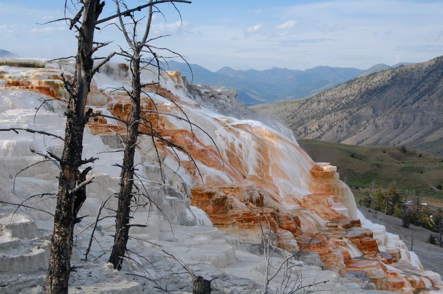 Mammoth Hot Springs