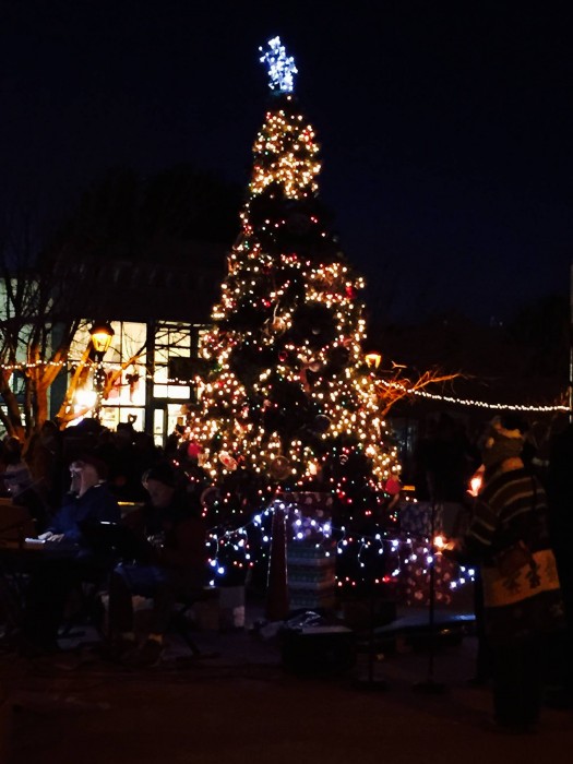 Mesilla New Mexico Plaza 3