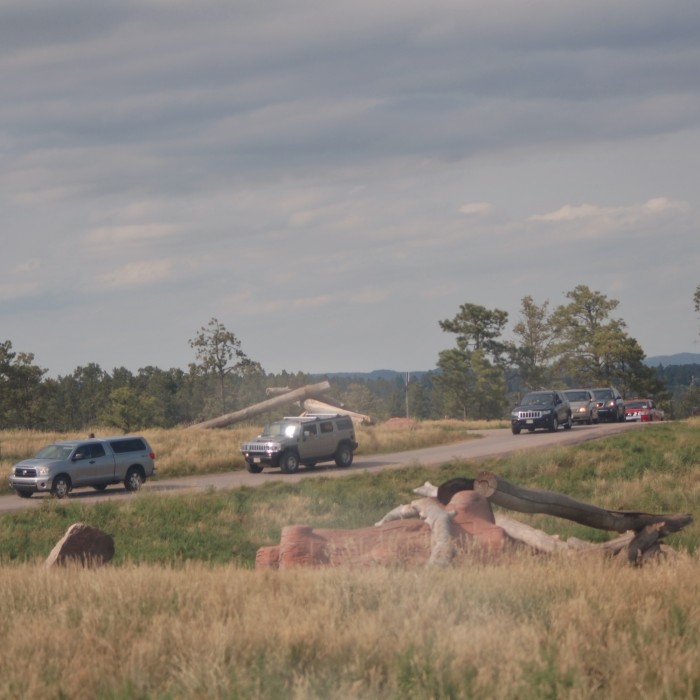 Bear Country USA Wildlife