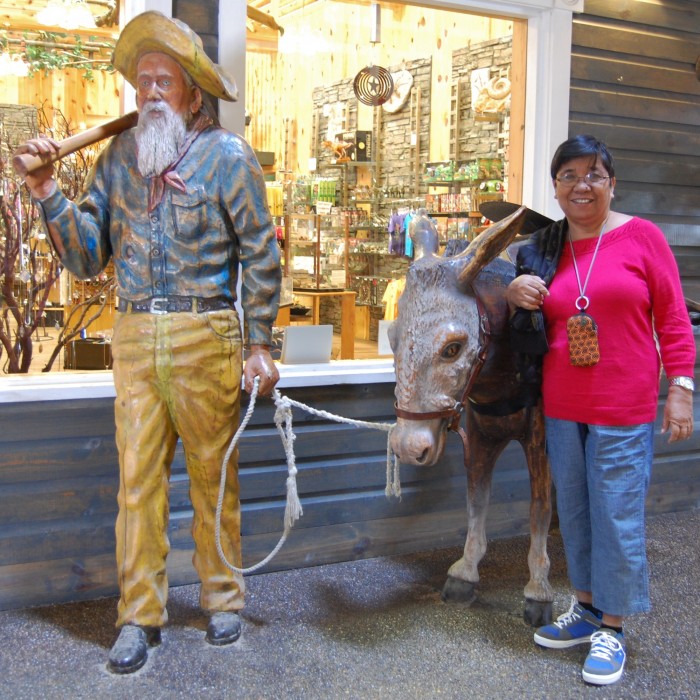 Wall Drug Attraction