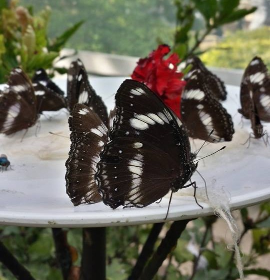 10351835_10204102905122681_759663524920509627_n