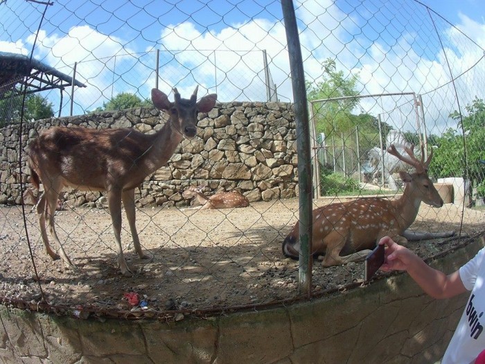 10361593_10204102867681745_2983460790235670065_n