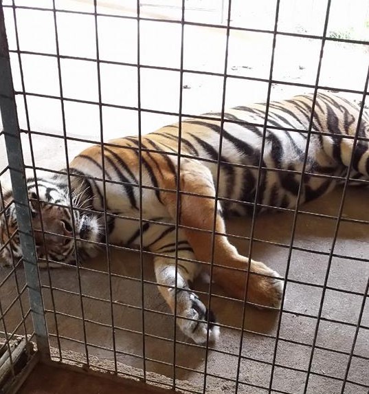 10417728_10204102905922701_8434455518464371368_n