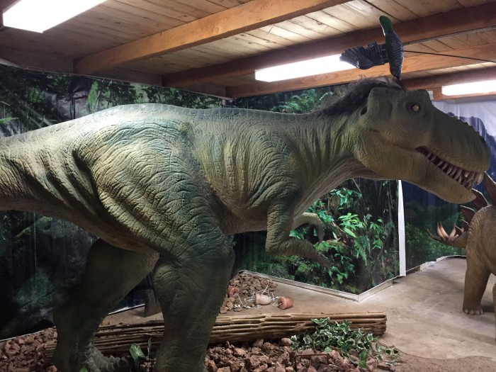 19341122643_6c7b781e81_k