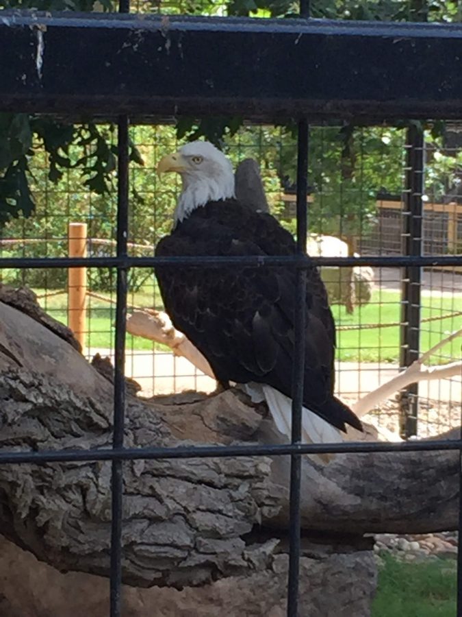 19978761992_7d2aee029e_k