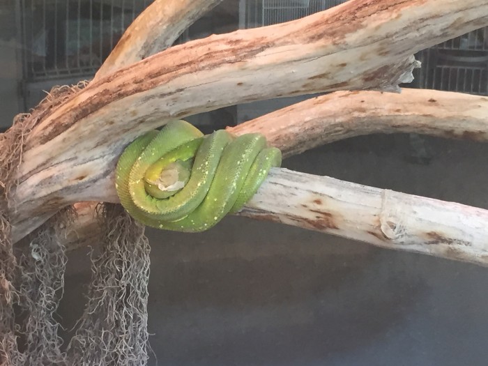 19986475725_cc1546b1c2_k