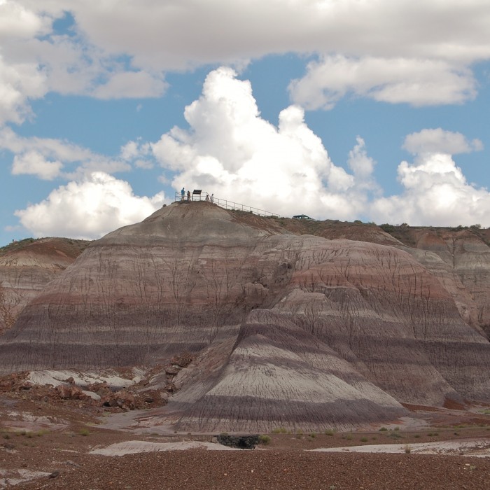 Petrified Forest National Park