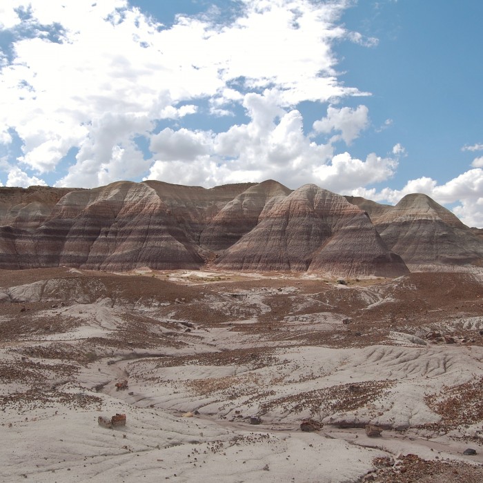 Petrified Forest National Park