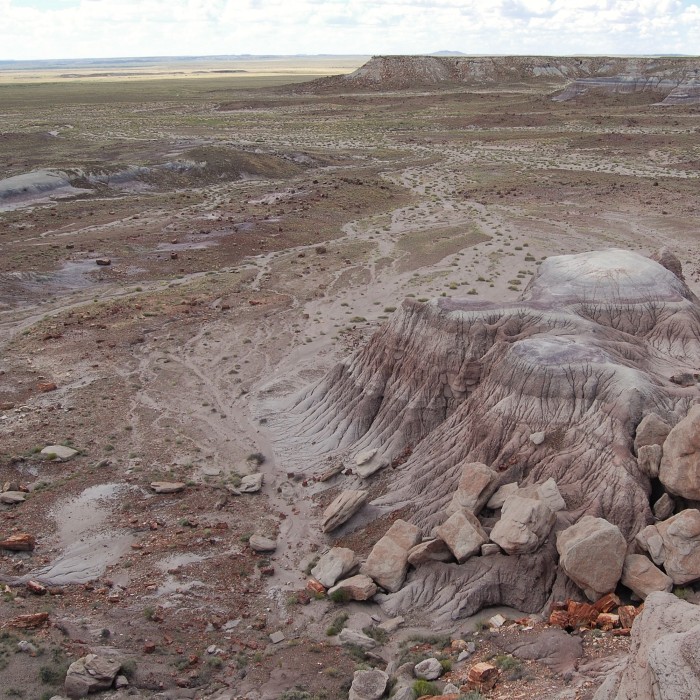 Petrified Forest National Park