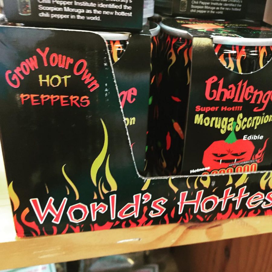 World’s Largest Pistachio Monument, Only in Alamogordo New Mexico