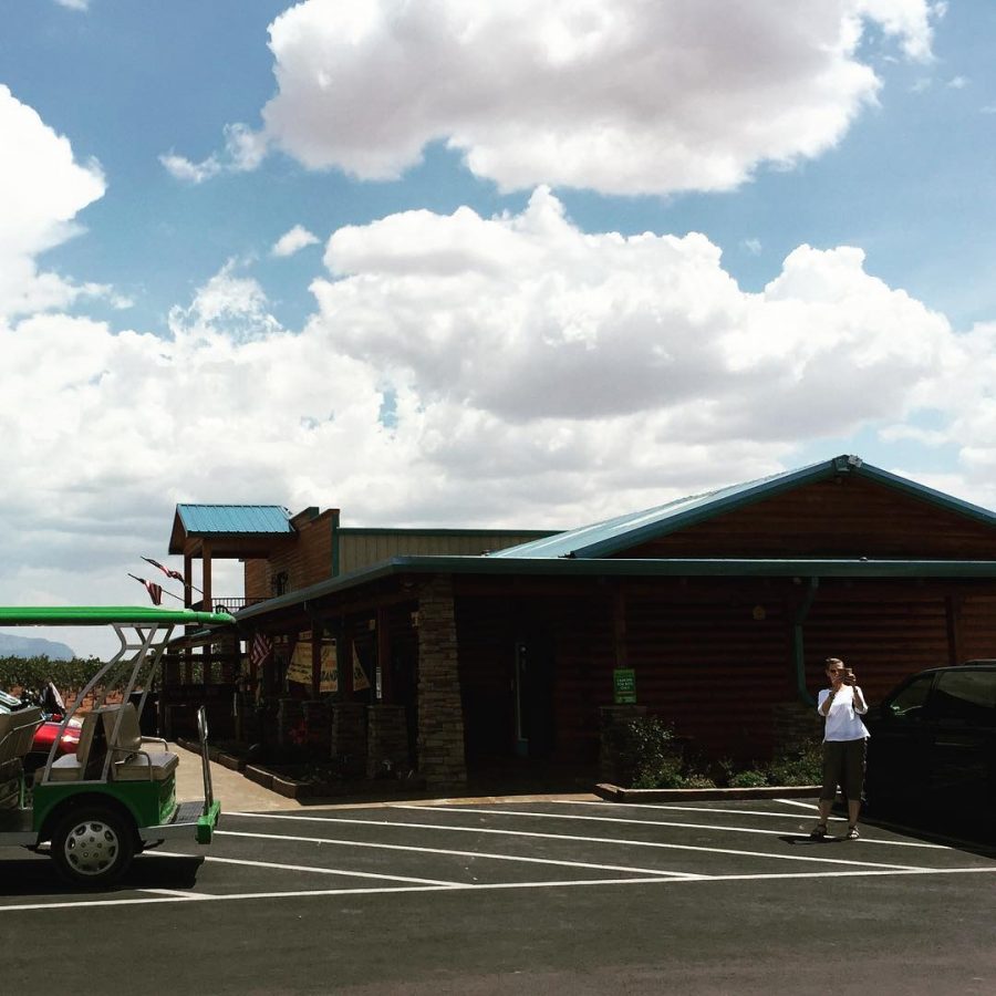 World’s Largest Pistachio Monument, Only in Alamogordo New Mexico Brain Contour