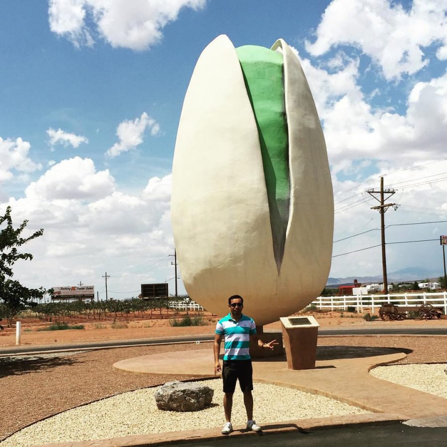 World’s Largest Pistachio Monument, Only in Alamogordo New Mexico Brain Contour