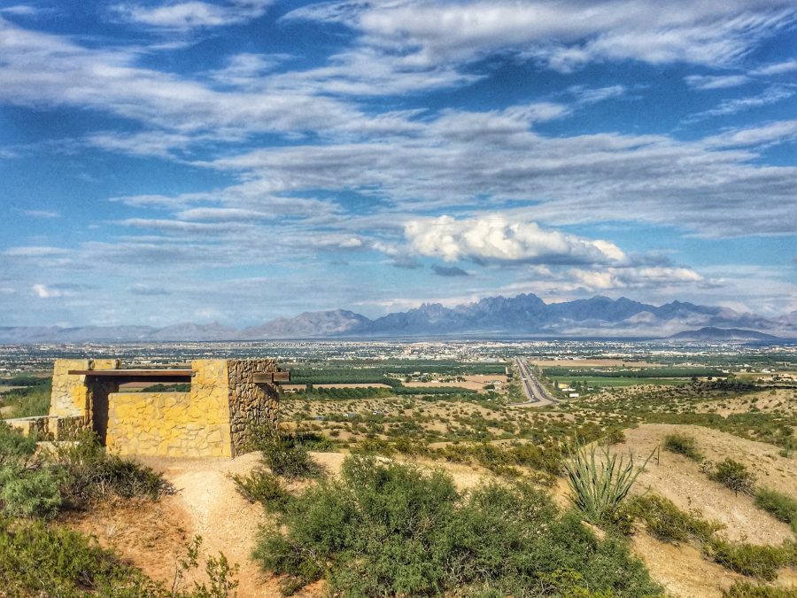 Recycled Roadrunner Sculpture