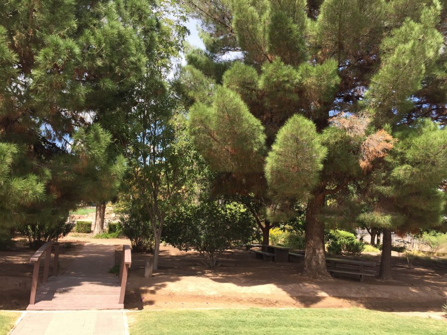 Landscape Gardens Las Cruces