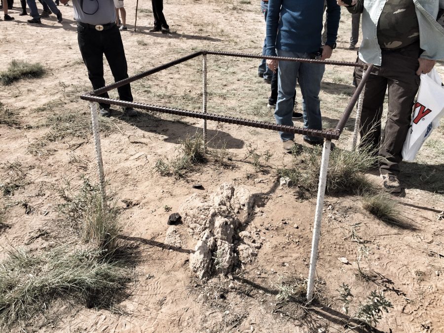 21304597963_1b730474ea_o