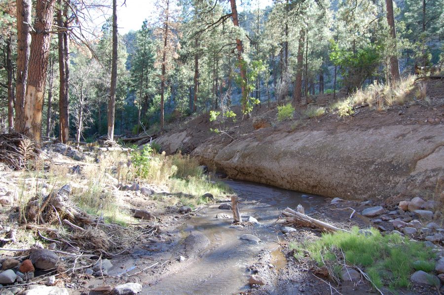 Bandelier National Monument
