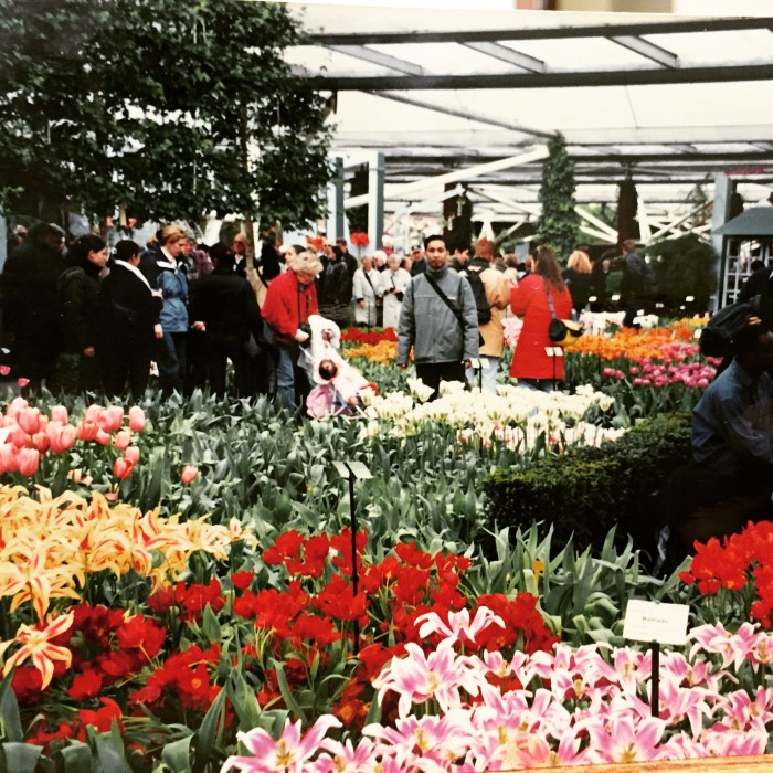 Keukenhof Flower Garden