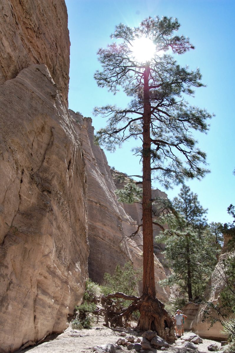 Kasha-Katuwe Tent Rocks National Monument