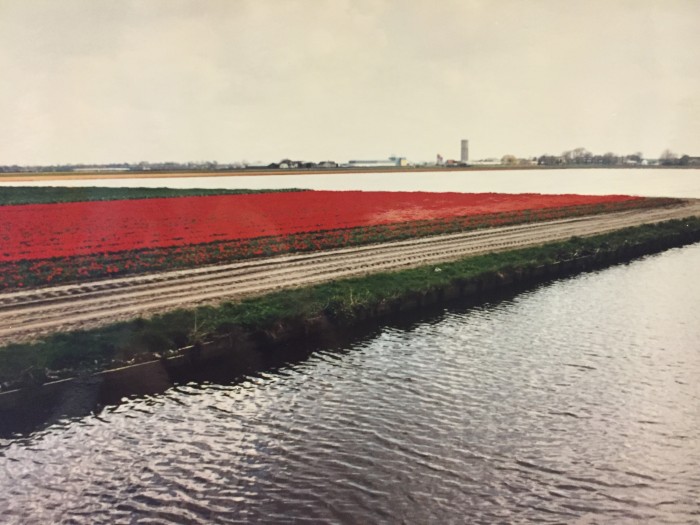 Keukenhof Flower Garden