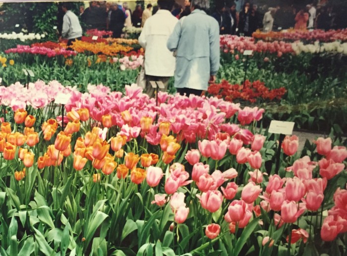 Keukenhof Flower Garden