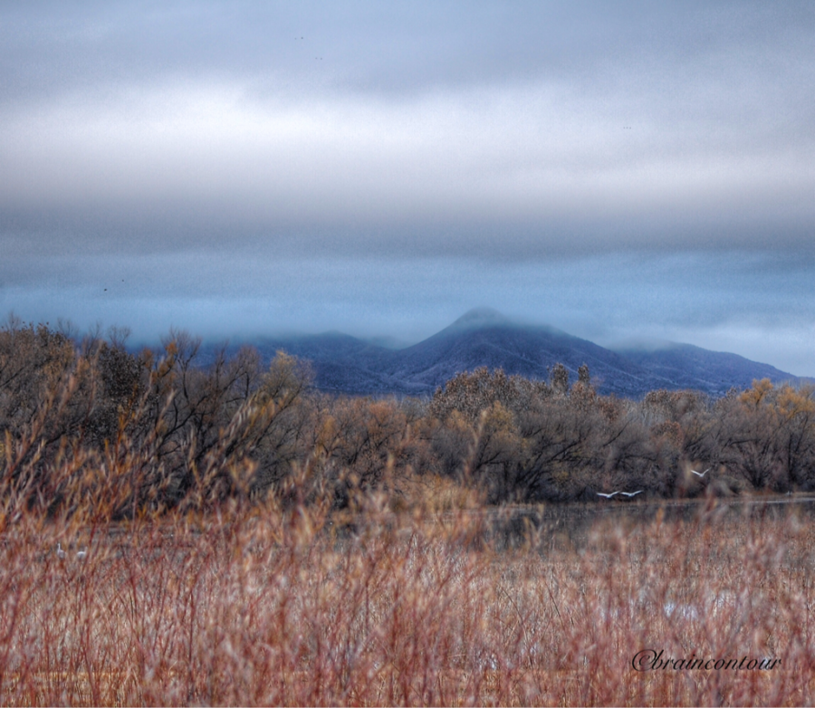 Bosque del Apache National Wildlife Refuge