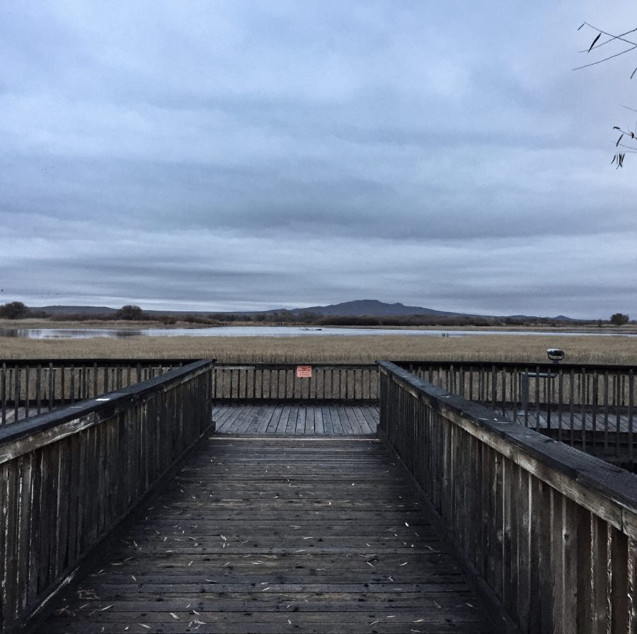 Bosque del Apache National Wildlife Refuge