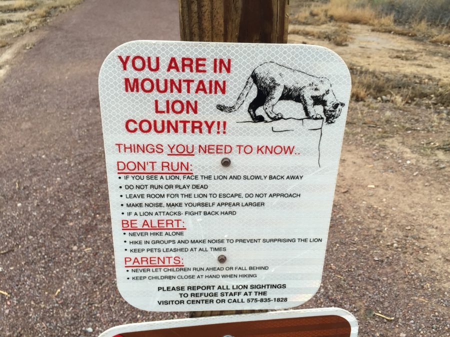 Bosque del Apache National Wildlife Refuge