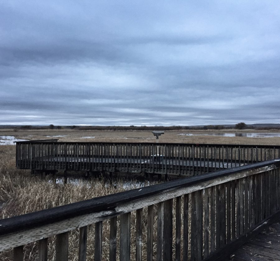 Bosque del Apache National Wildlife Refuge