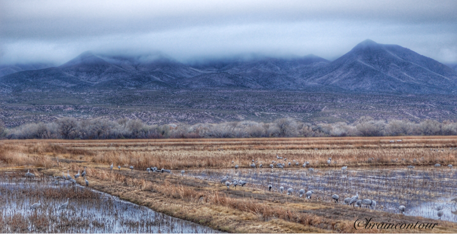 Bosque del Apache National Wildlife Refuge