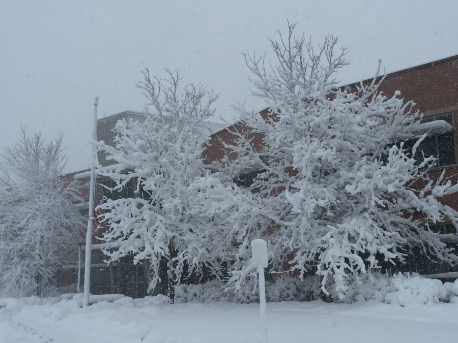 fort collins colorado winter photos