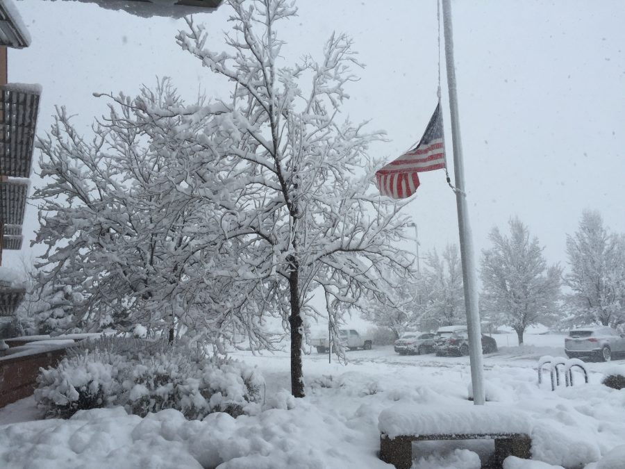 fort collins colorado winter photos