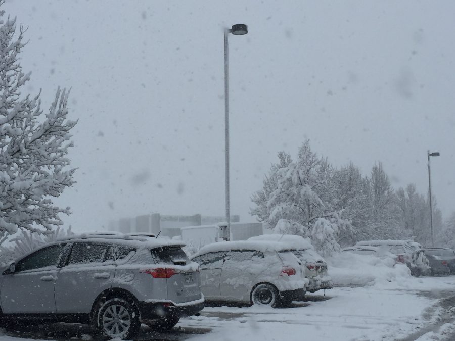 fort collins colorado winter photos