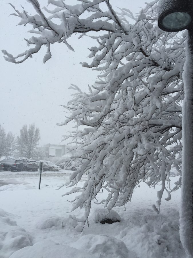 fort collins colorado winter photos