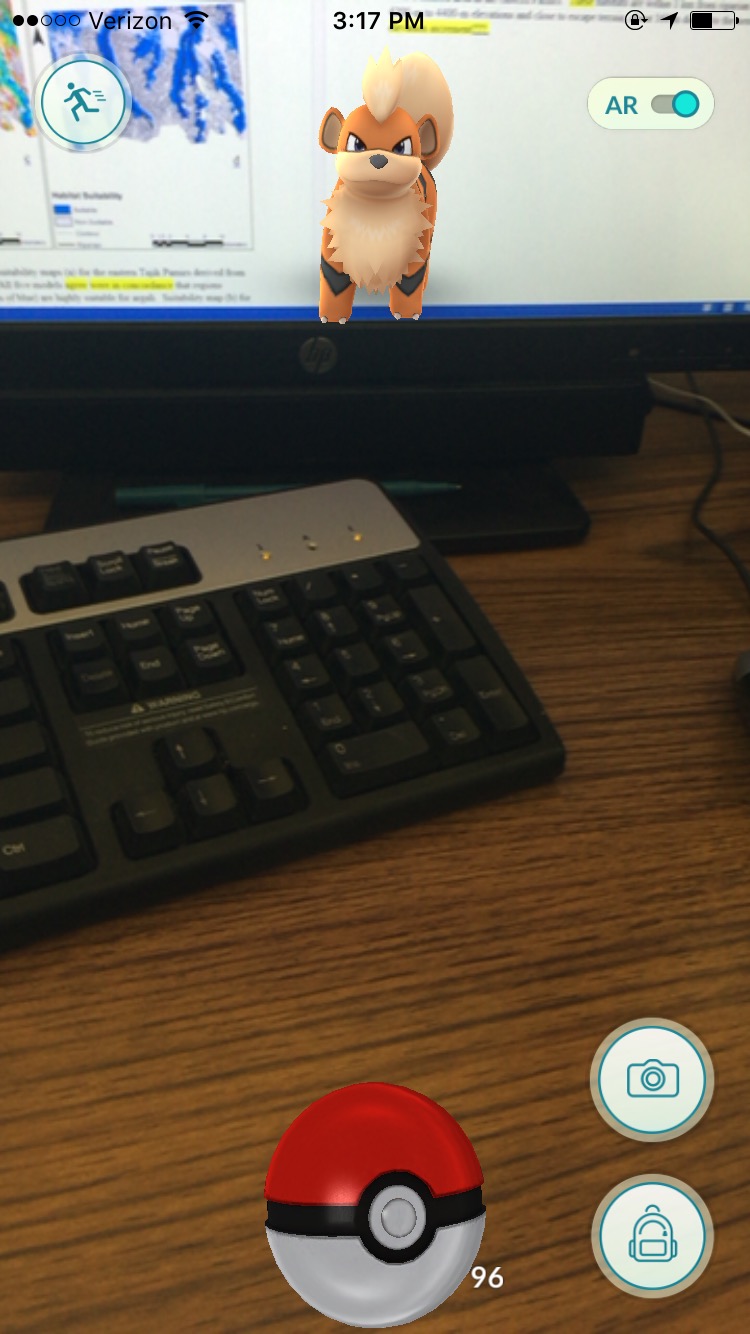 Pokemon Go Rare Character