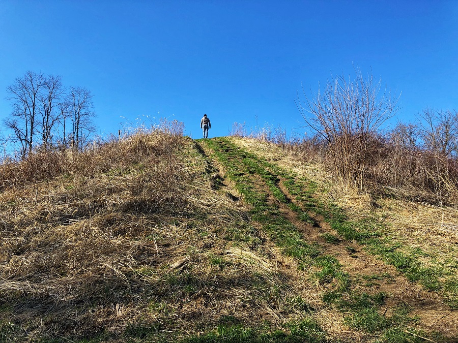 Adena Mound at Indian Mound Reserve Park in Cedarville Ohio Brain Contour