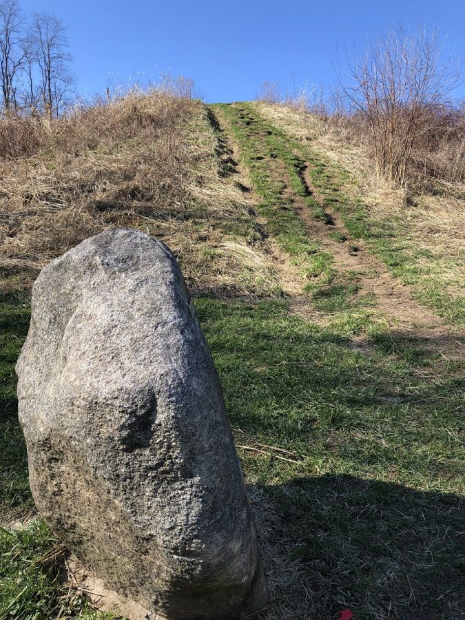 Adena Mound at Indian Mound Reserve Park in Cedarville Ohio Brain Contour