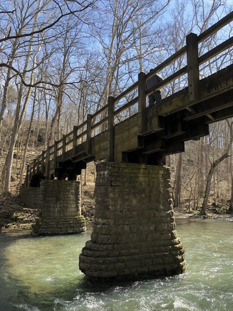 A Beautiful Park at Clifton State Nature Preserve in Yellow