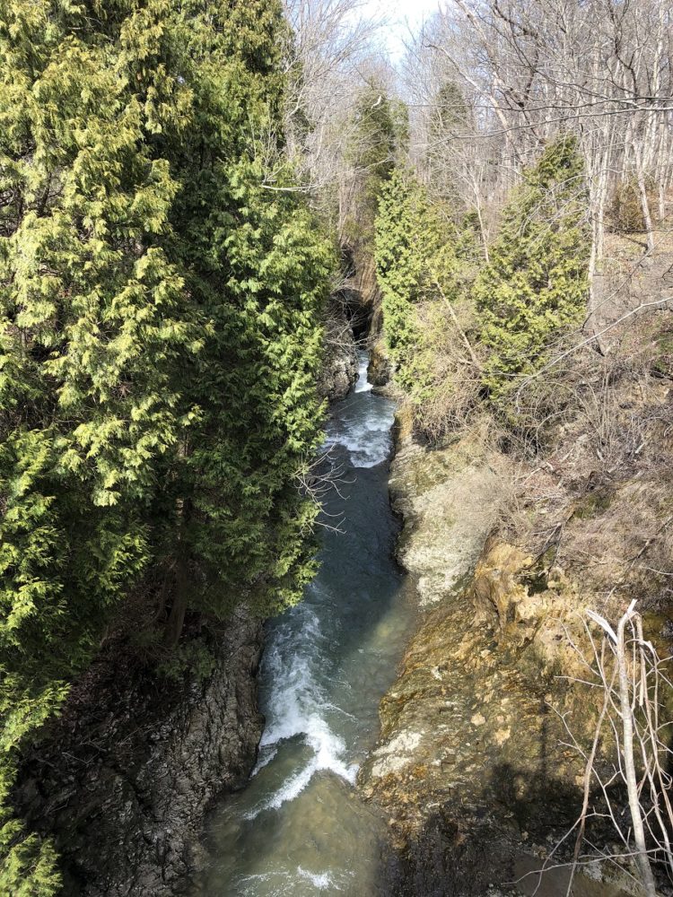 A Beautiful Park at Clifton State Nature Preserve in Yellow